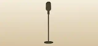 Microphone