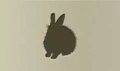うさぎ