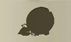 スイカ
