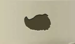豊饒の角