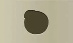 桃