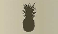 Pineapple silhouette #1