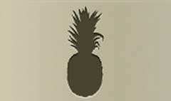 Pineapple silhouette #2