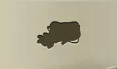 ルーン文字