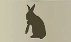 うさぎ