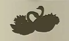2匹のハクチョウ