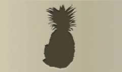 Pineapple silhouette #4