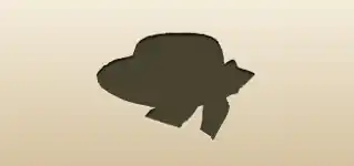 Women’s Hat