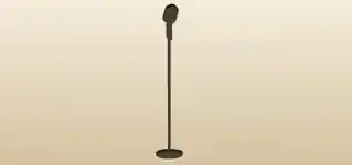 Microphone
