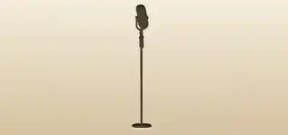 Microphone