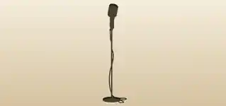 Microphone