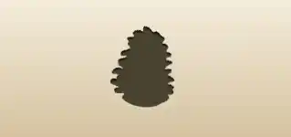 Pinecone