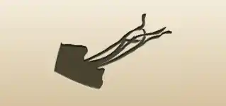 Kite