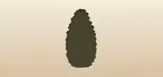Pinecone