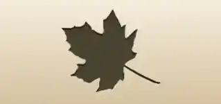 カエデの葉のシルエット