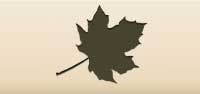 Maple Leaf silhouette