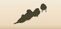 Sparrows silhouette