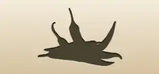 唐辛子のシルエット