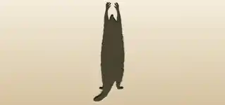 アライグマのシルエット