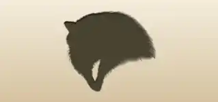 アライグマのシルエット