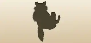 アライグマのシルエット