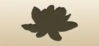 蓮のシルエット