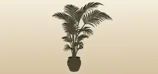 ヤシの木のシルエット