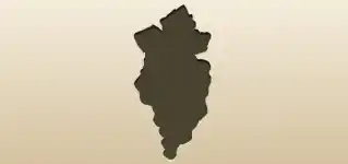 ブドウのシルエット