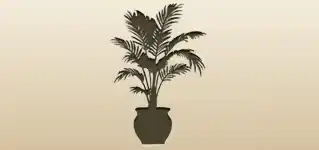 ヤシの木のシルエット