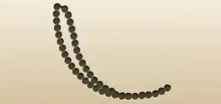 ネックレスのシルエット