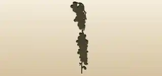 ブドウのシルエット