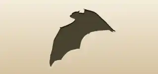 Bat
