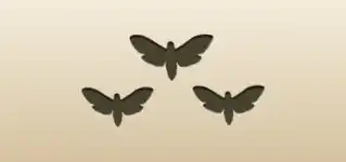 Moths