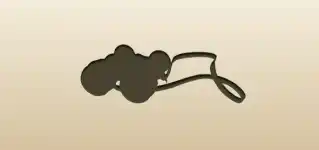 Binoculars