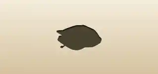 Coin Purse