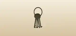 Lock Picks