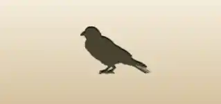 Crow
