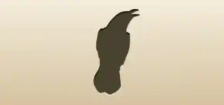 Crow