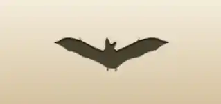 Bat