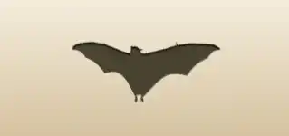 Bat