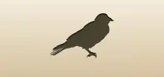 Crow