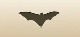 Bat