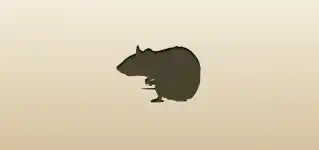 Rat