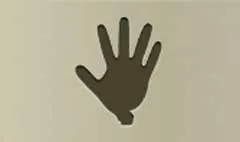 Medical Glove