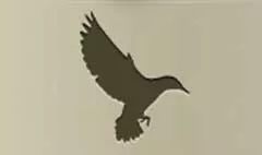 Starling