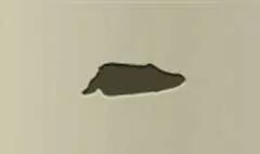 Paint Tube