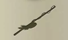 Cat Toy