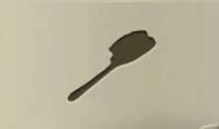 Hair Brush