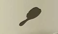 Hair Brush