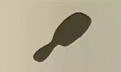 Hair Brush